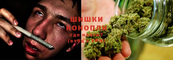 индика Новодвинск