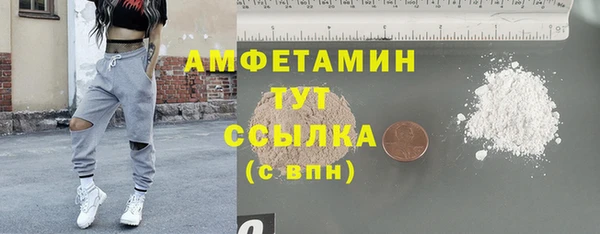 индика Новодвинск