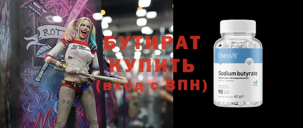 индика Новодвинск