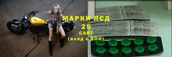 индика Новодвинск