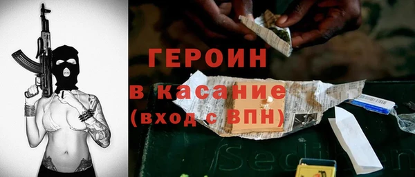 индика Новодвинск