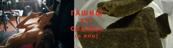 индика Новодвинск