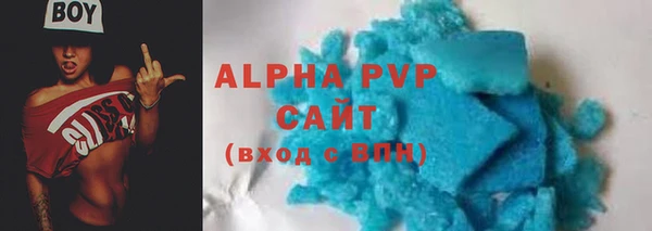 индика Новодвинск