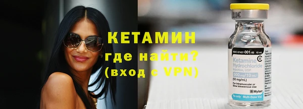 индика Новодвинск