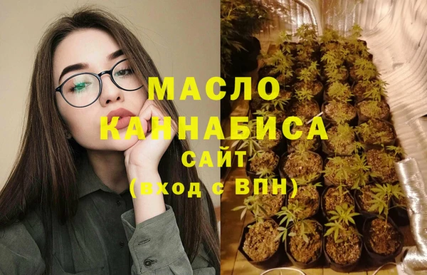 индика Новодвинск