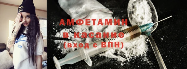 молекула духа Новозыбков