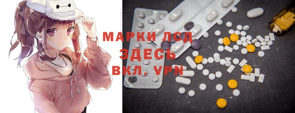 индика Новодвинск