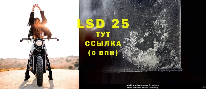 дарнет шоп  Каргат  LSD-25 экстази кислота 